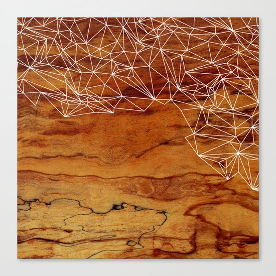 Wooden Wireframe Canvas Print