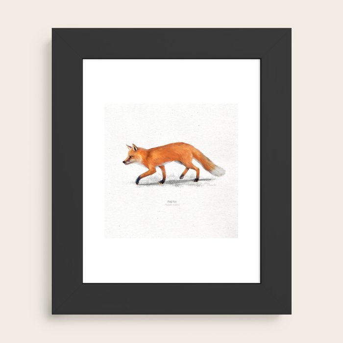 Framed Art Print