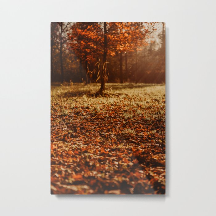 Fall Colors | Fine Art Travel Photography Metal Print