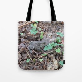 Common Toad nature photography Tote Bag