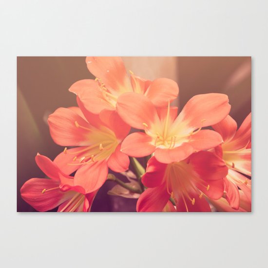 Sense of Spring Canvas Print