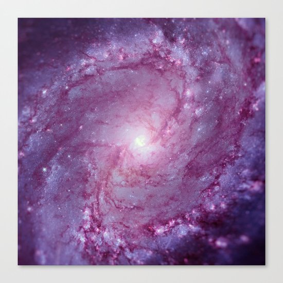 Spiral galaxy Canvas Print