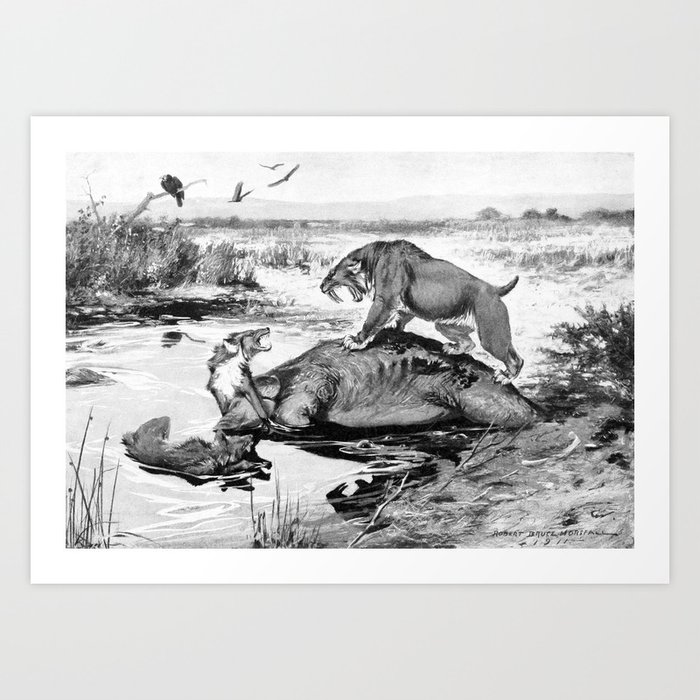 . Horsfall - A History of Land Mammals in the Western Hemisphere (1913)  - Smilodon and Direwolf Art Print by Public Domain Gallery | Society6