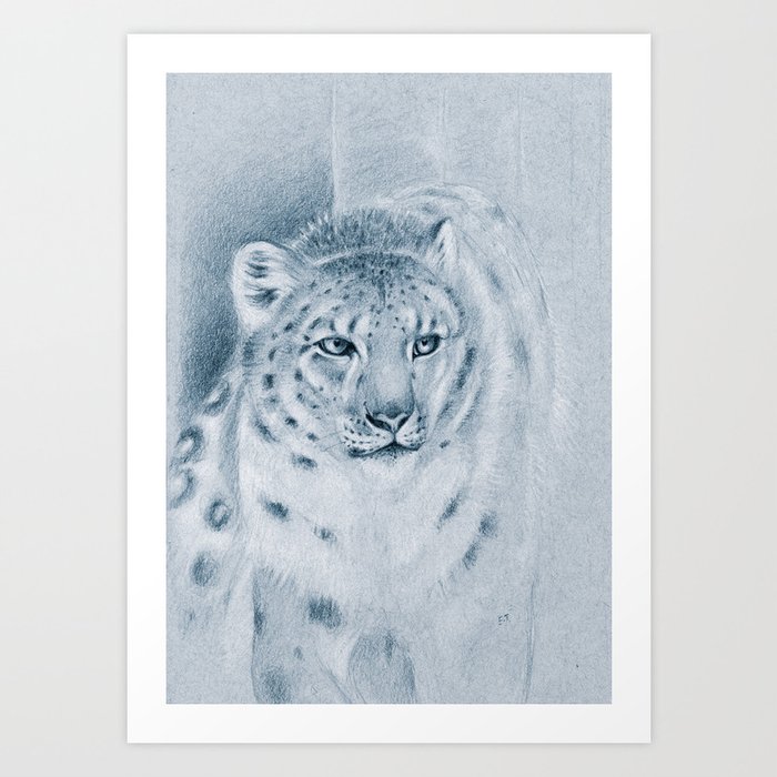 Snow Leopard Ghost Blue Drawing Art Print