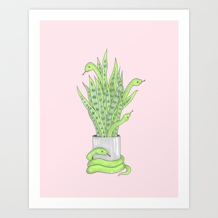 Snake House Plant  Art Print