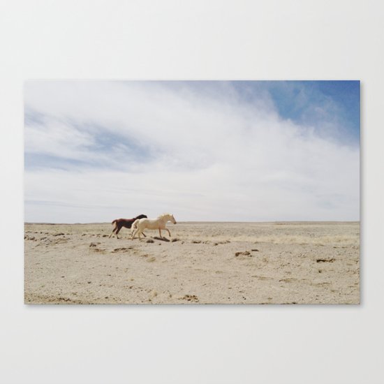 Bloomfield Horse Run Canvas Print