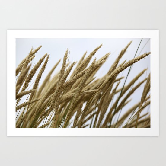Wheat Art Print