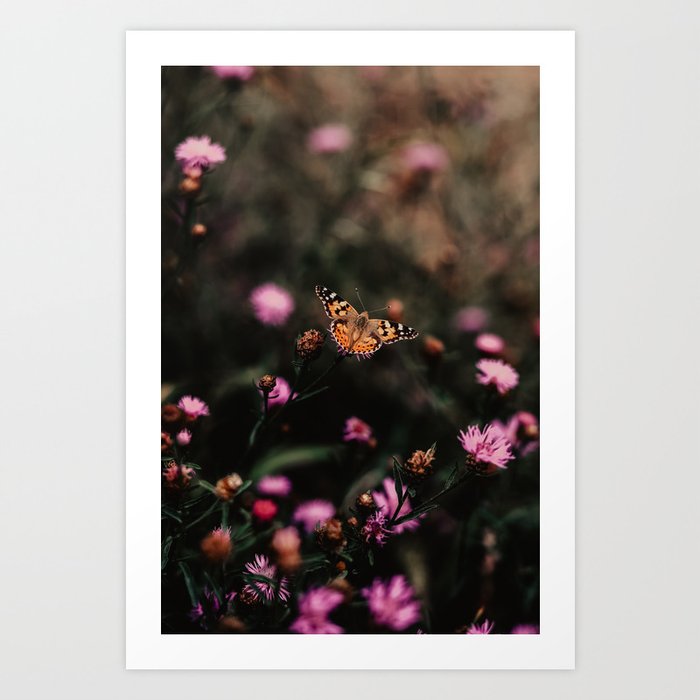 Butterfly | Fine Art Travel Photography Art Print