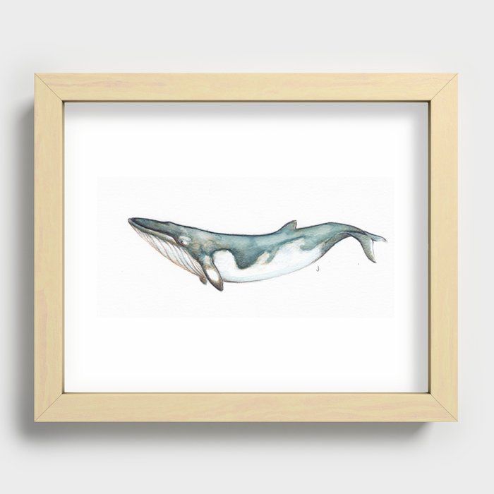 Mink Whale Recessed Framed Print