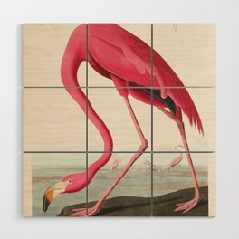 Flamingo by John James Audubon Wood Wall Art