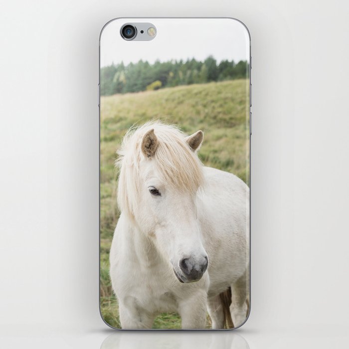Icelandic Horse in Field iPhone Skin