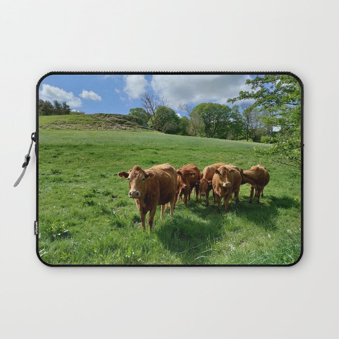 Danish landscape with cows Laptop Sleeve