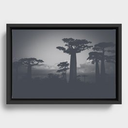 Baobab Framed Canvas