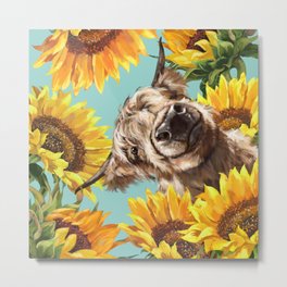 Highland Cow with Sunflowers in Blue Metal Print