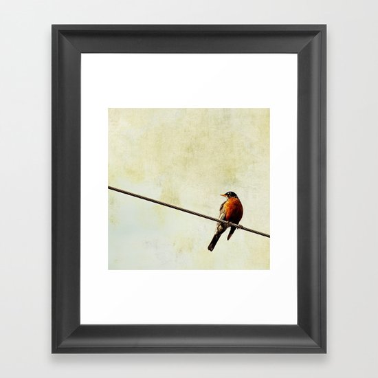Robin Framed Art Print