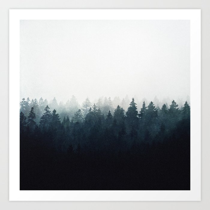 A Wilderness Somewhere // Misty Wild Romantic Dark Forest With Cascadia Trees Covered In Magic Fog Art Print