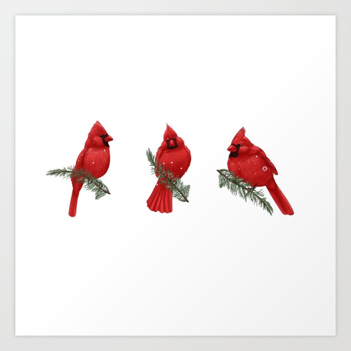 Cardinals Art Print