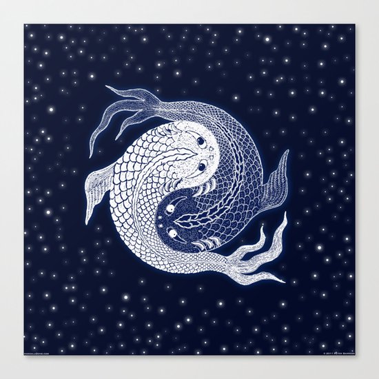 shuiwudao in space Canvas Print