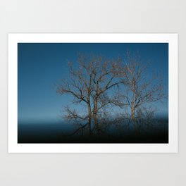 Tree Reflection Art Print