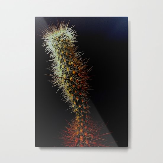 Cacti, Strength From A Deep Reservoir Metal Print