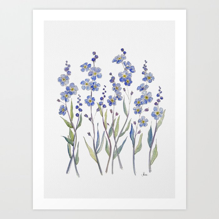 Blue Forget Me Not Blooms Art Print