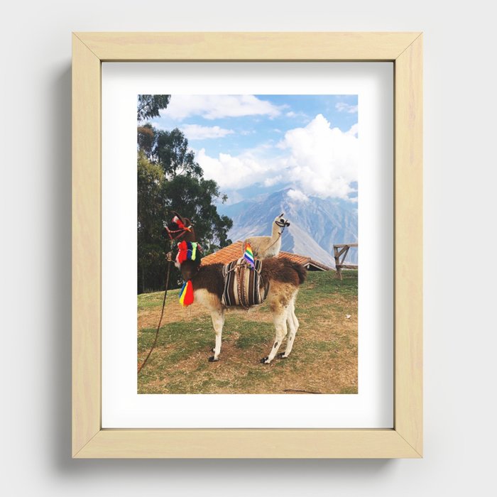 Llamas in the Sacred Valley Recessed Framed Print