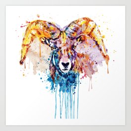 Bighorn Sheep Portrait Art Print