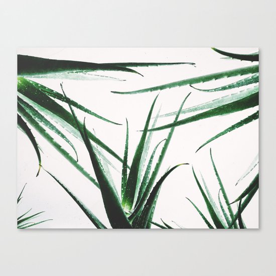 plant vibes Canvas Print
