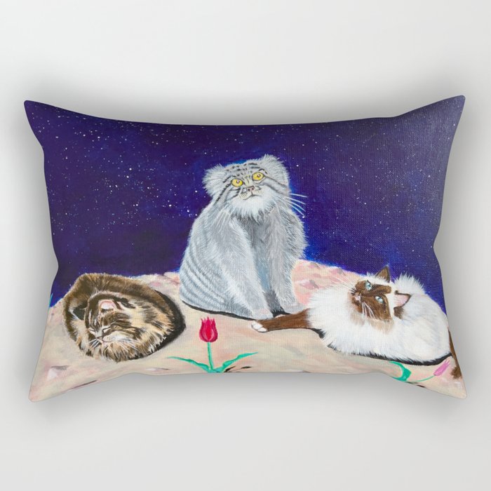 Constellation Isabella Rectangular Pillow