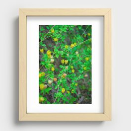 Bébé Fleur Recessed Framed Print