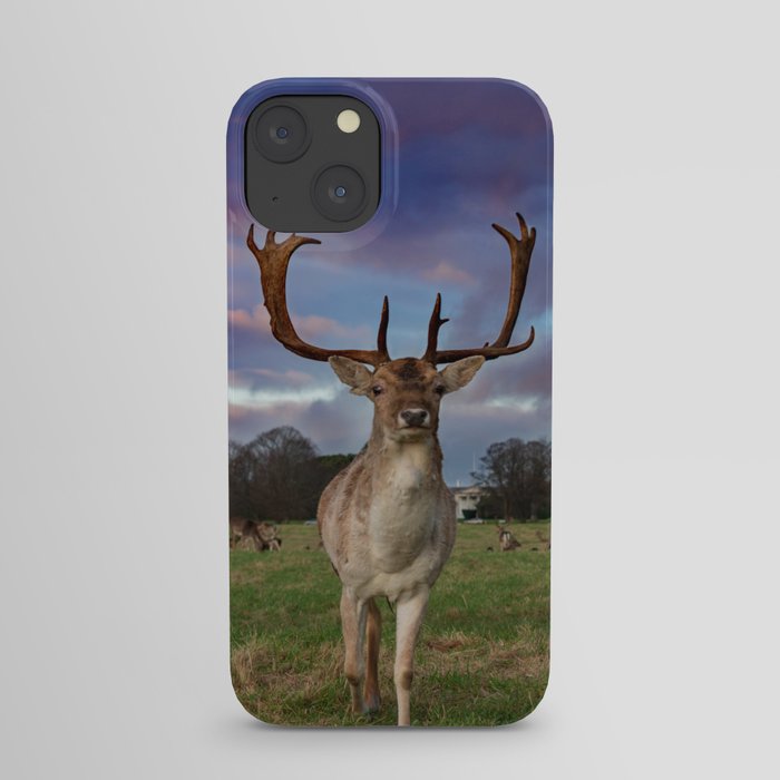 Magical Deer in a grassland iPhone Case