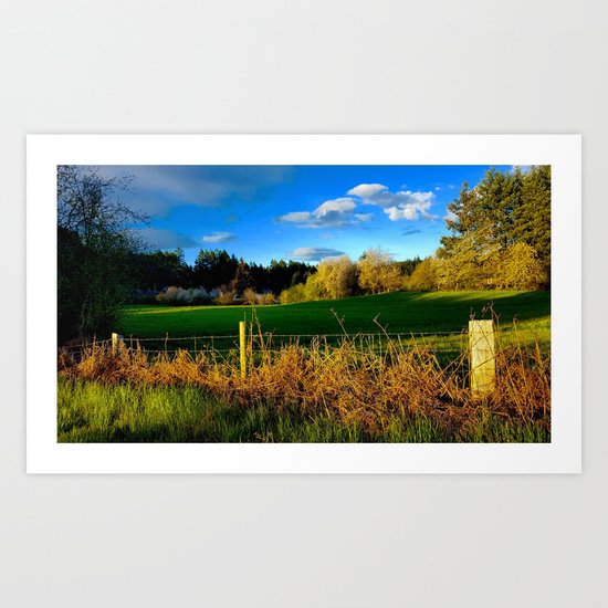 Golden Evening Light Across A Field Art Print