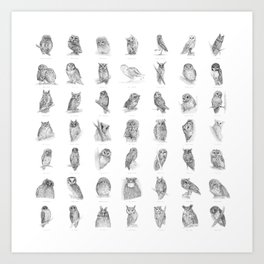 "50 Shades of Owls" collection Art Print