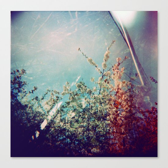 Holga Flowers III Canvas Print