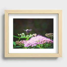 buzz. Recessed Framed Print