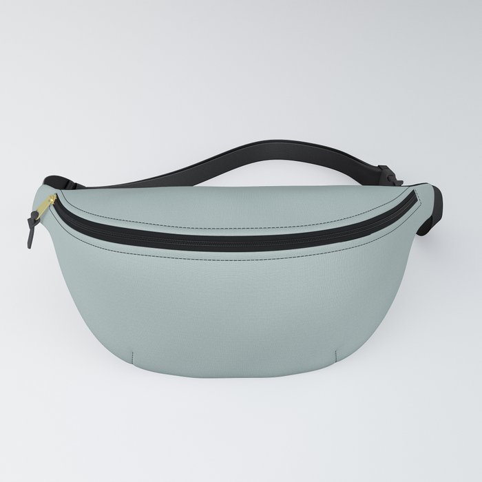 Pastel Blue Green Solid Color Pairs Better Home and Garden 2022 Popular Color Aqua Frost Fanny Pack