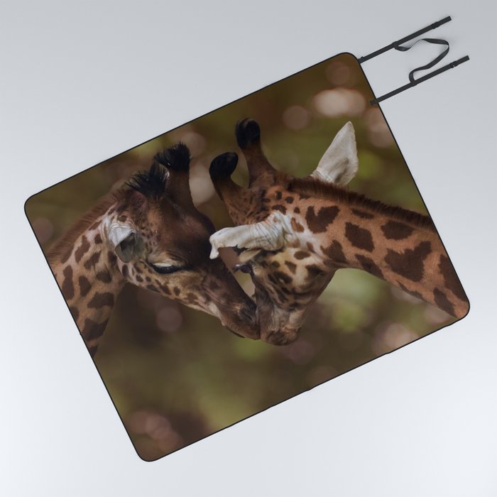 South Africa Photography - Two Giraffes Kissing Picnic Blanket