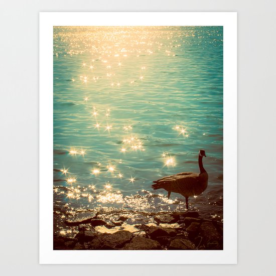 Showering in Sparkling Sunshine Art Print