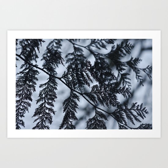 Branch Silhouette Art Print