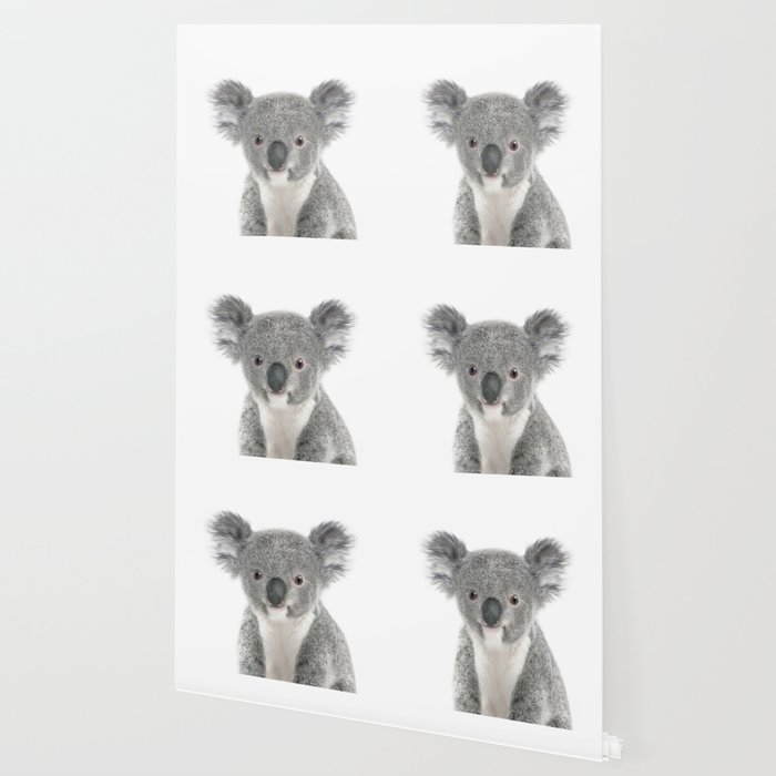 Baby Koala Wallpaper By Studio42 Society6