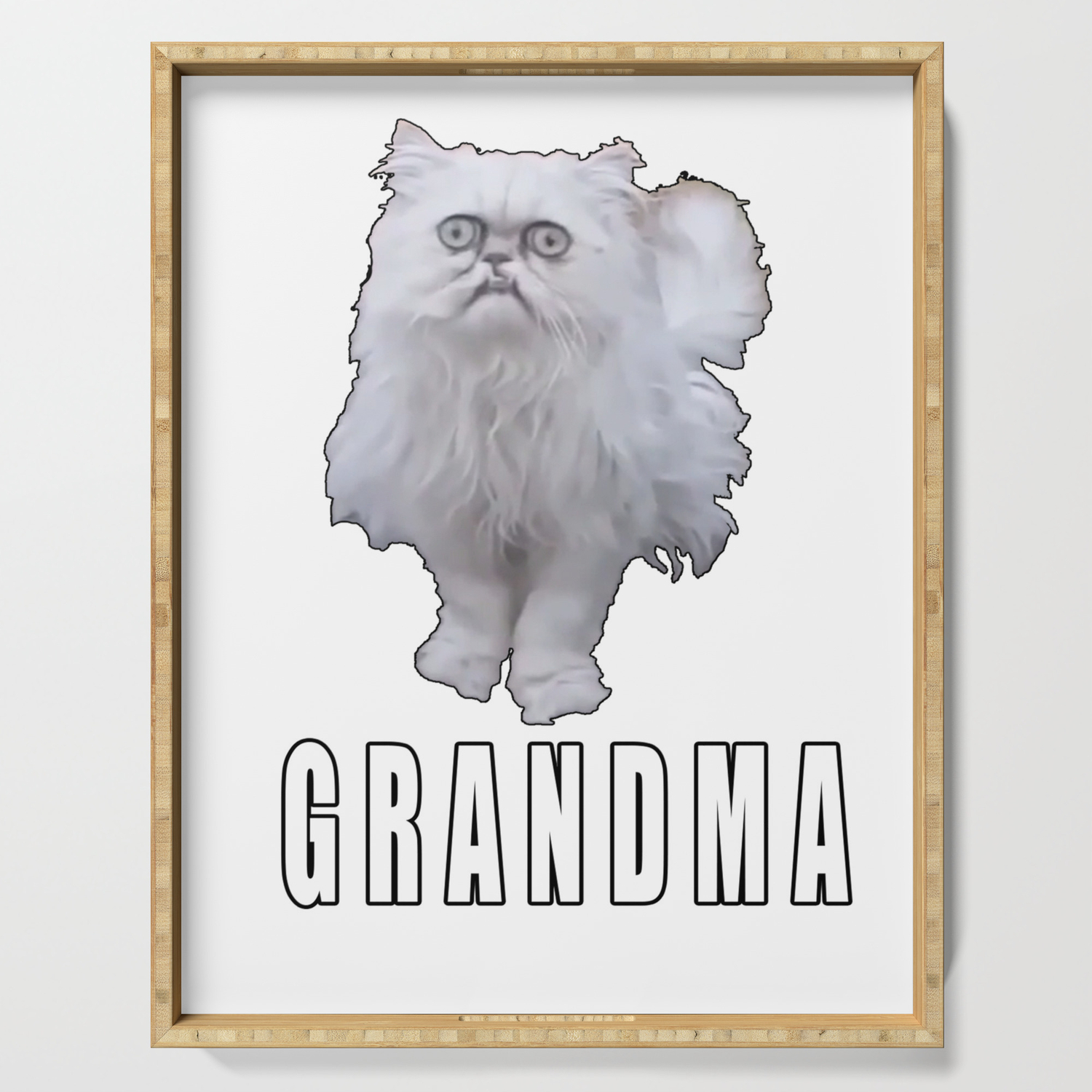 This Stray Cat Looks Like Grandma Meme Serving Tray By