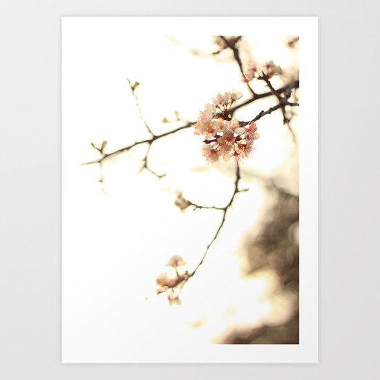 pinky petals Art Print