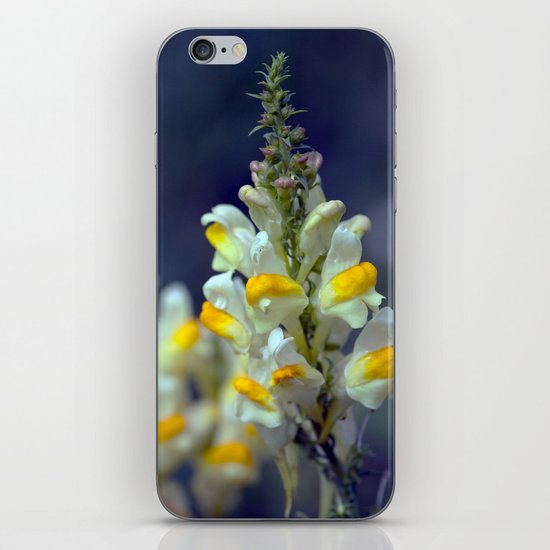 Toadflax flowers 5067 iPhone & iPod Skin