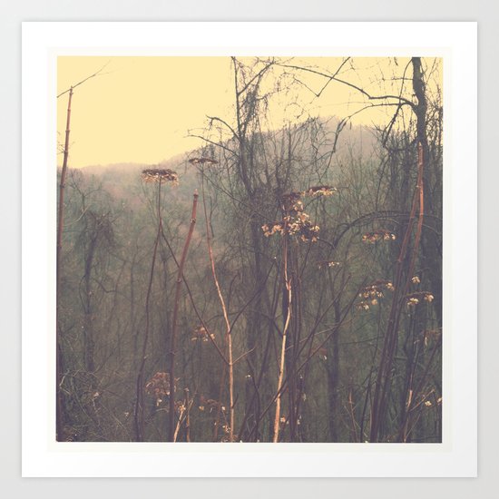 South Carolina Art Print