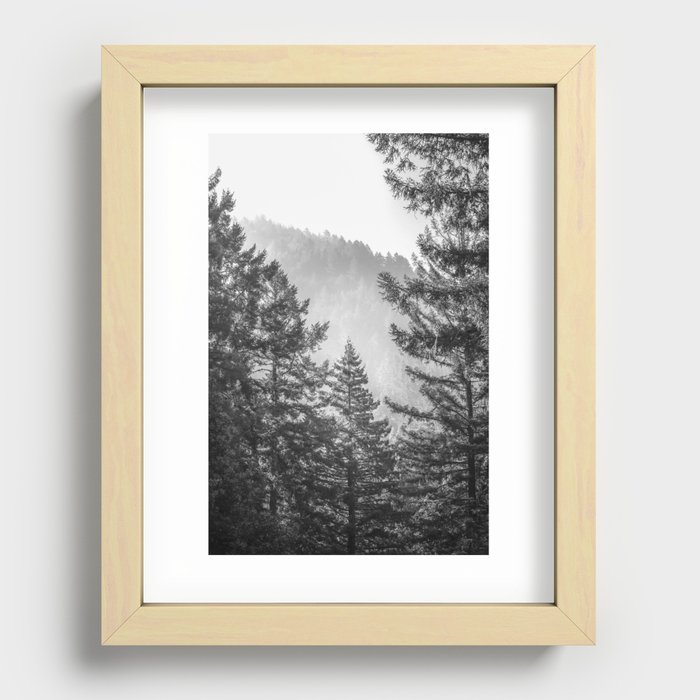 Redwood Park Black and White Recessed Framed Print