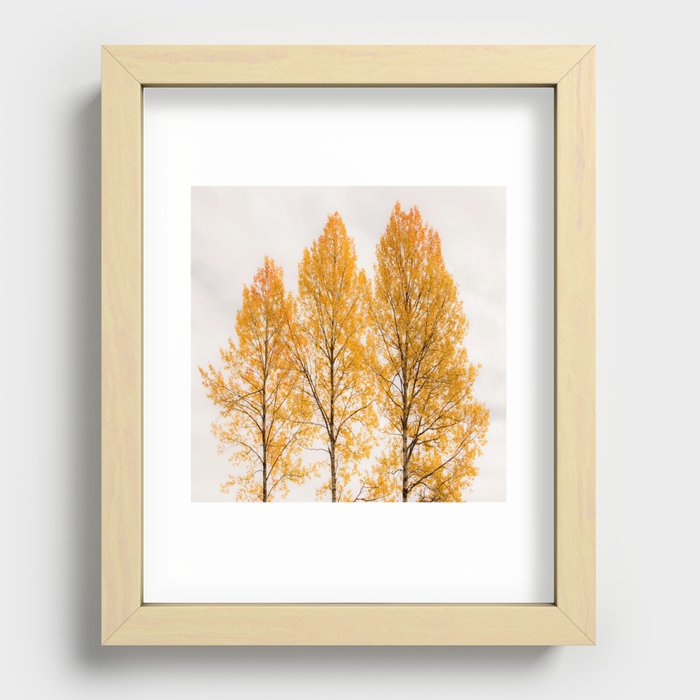 Recessed Framed Print