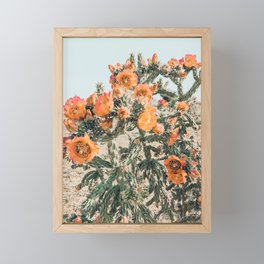Cholla, Orange Flowering Cactus Framed Mini Art Print