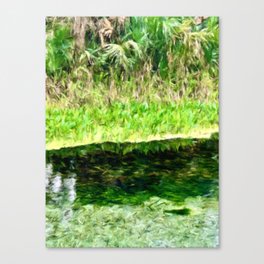 Palm Trees and Vibrant Green Springs Canvas Print