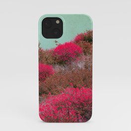 the hill iPhone Case