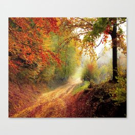 Wallpaper Colorful forest Canvas Print